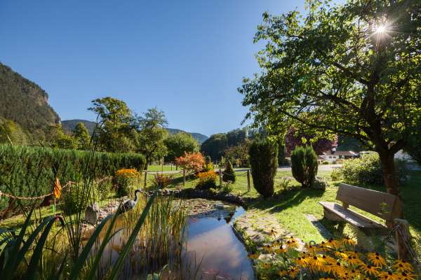 Bild aus der Galerie