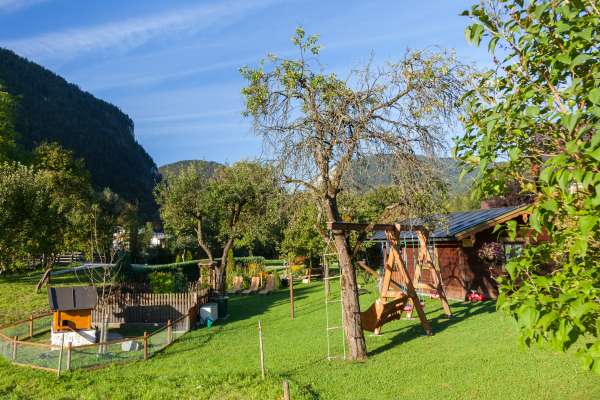 Bild aus der Galerie