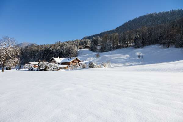 Bild aus der Galerie