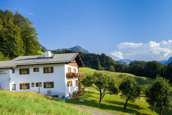 Bild aus der Galerie