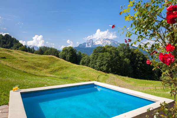 Bild aus der Galerie