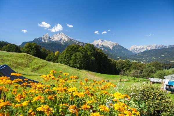 Bild aus der Galerie