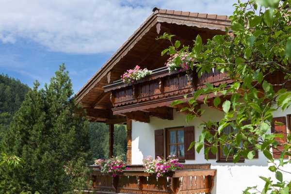 Bild aus der Galerie