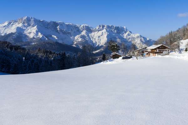 Bild aus der Galerie