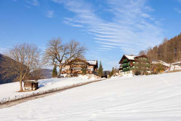 Bild aus der Galerie