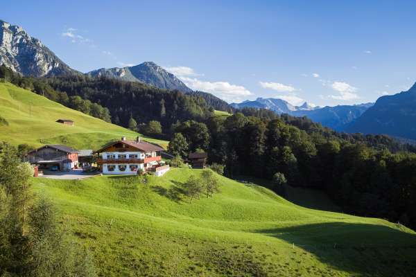 Bild aus der Galerie