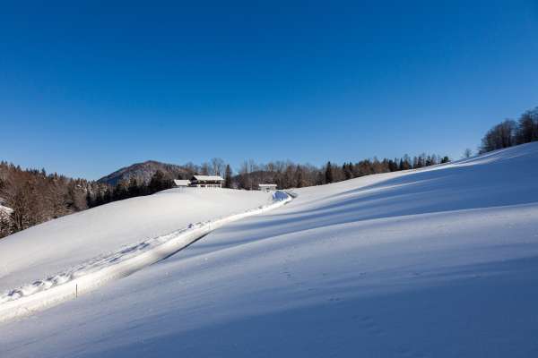 Bild aus der Galerie