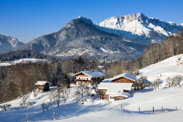 Bild aus der Galerie