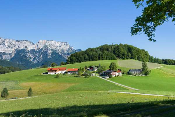 Bild aus der Galerie