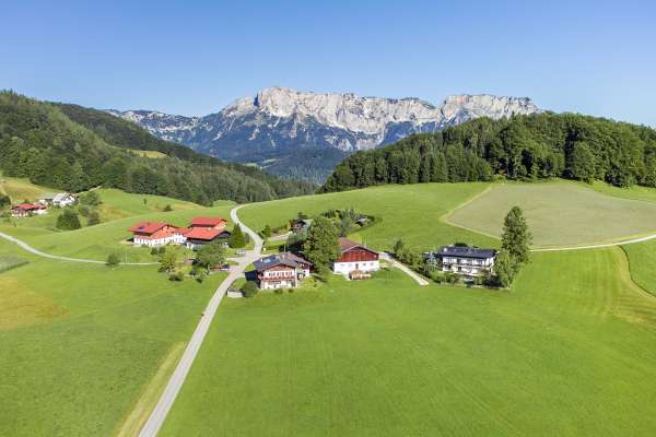 Bild aus der Galerie