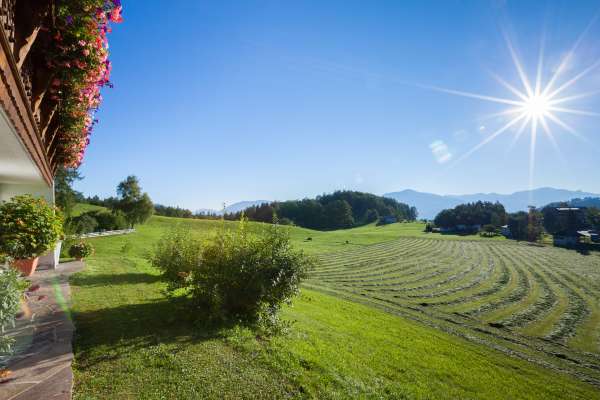 Bild aus der Galerie