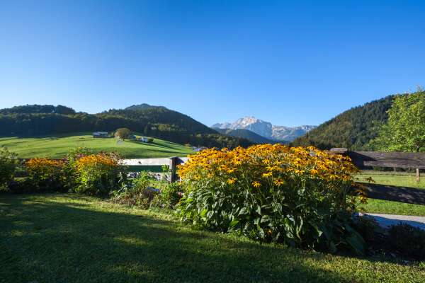 Bild aus der Galerie