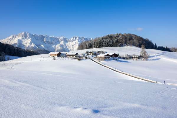 Bild aus der Galerie