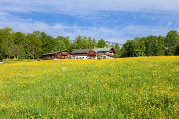 Bild aus der Galerie