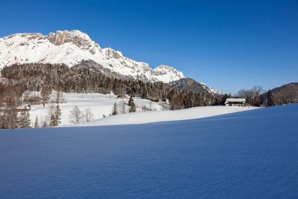 Bild aus der Galerie