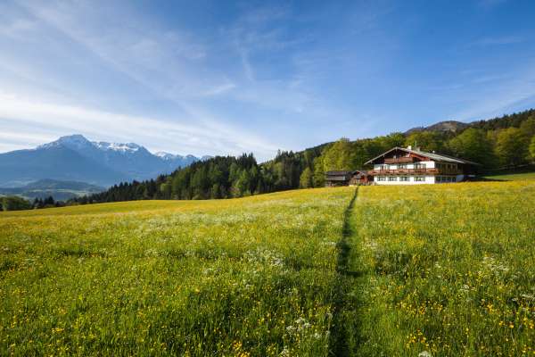 Bild aus der Galerie