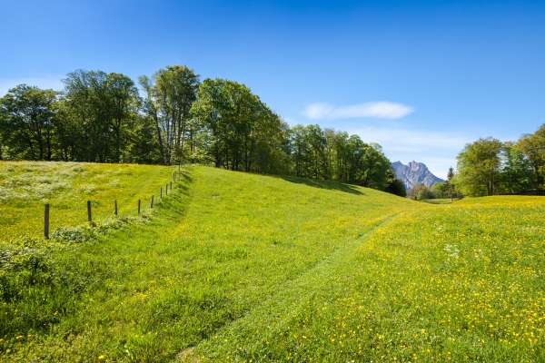 Bild aus der Galerie