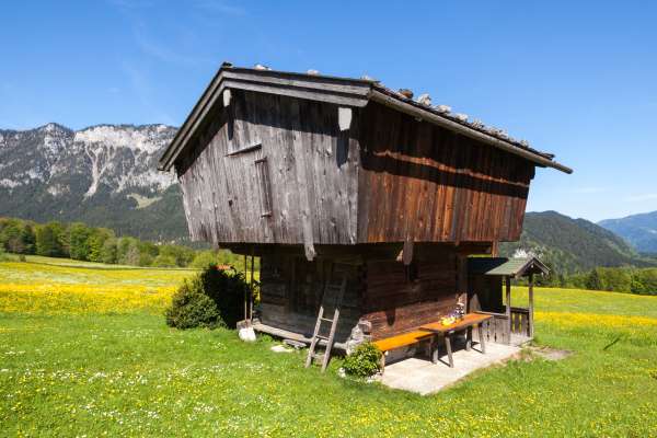 Bild aus der Galerie