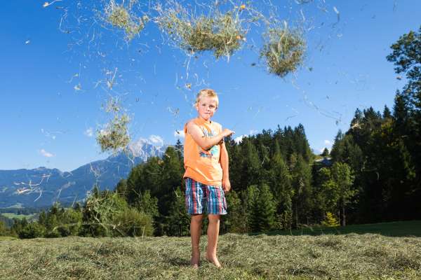 Bild aus der Galerie