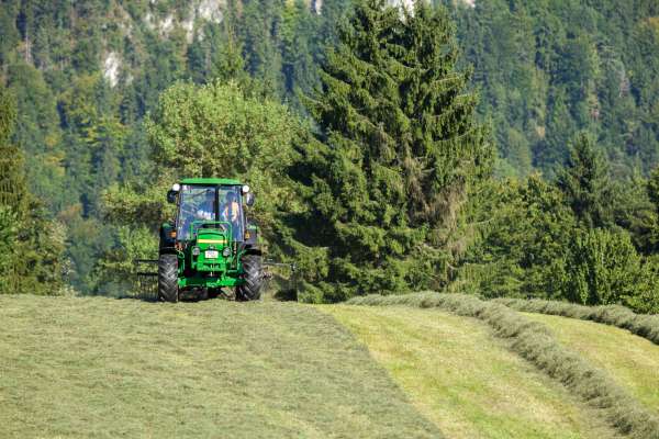 Bild aus der Galerie