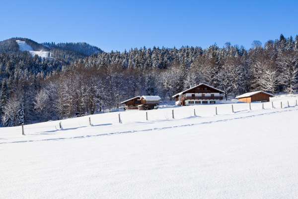 Bild aus der Galerie