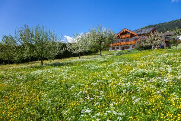 Bild aus der Galerie