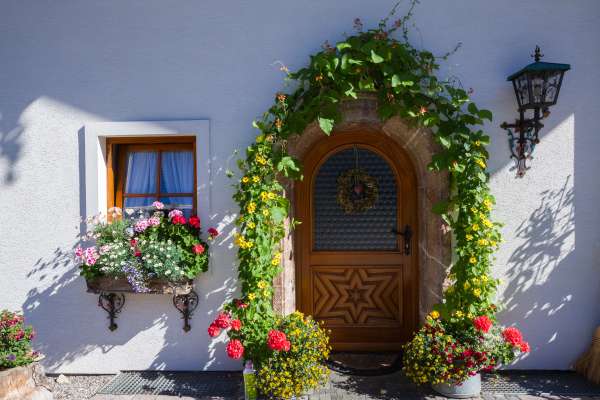 Bild aus der Galerie