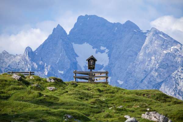 Bild aus der Galerie