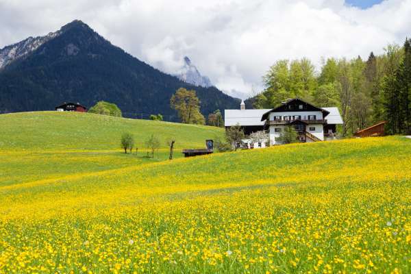 Bild aus der Galerie