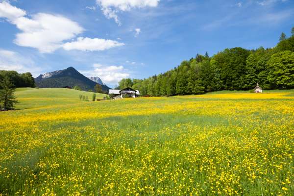 Bild aus der Galerie