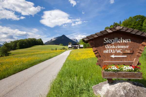 Bild aus der Galerie