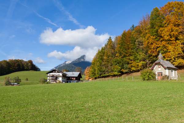 Bild aus der Galerie