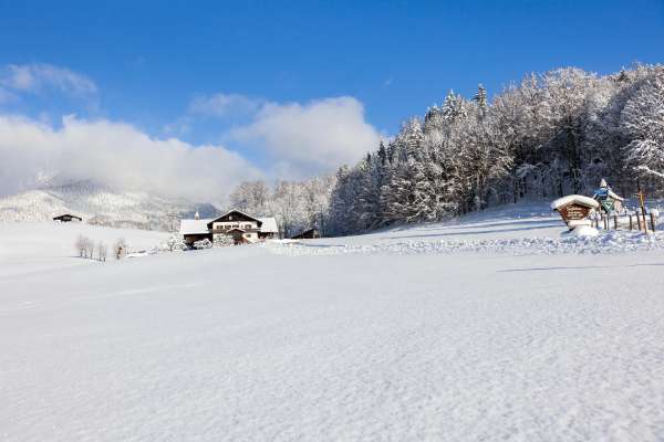 Bild aus der Galerie