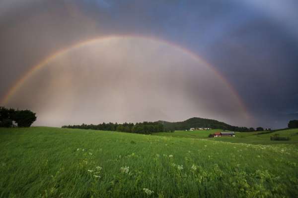 Bild aus der Galerie