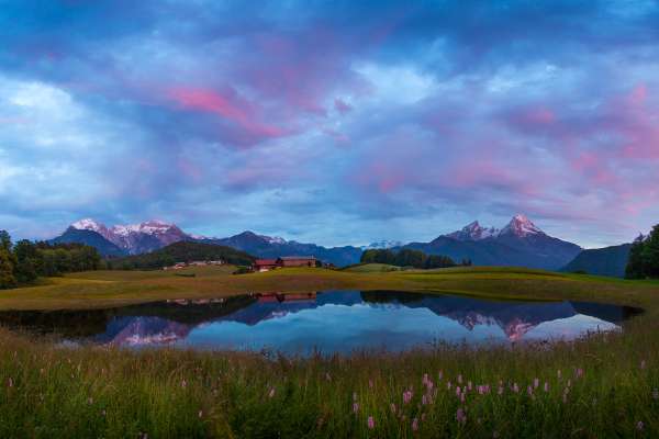 Bild aus der Galerie