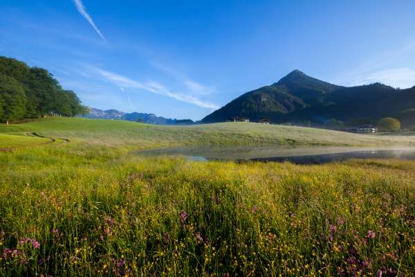 Bild aus der Galerie