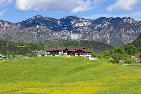 Bild aus der Galerie