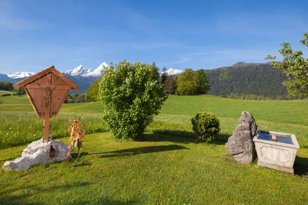 Bild aus der Galerie