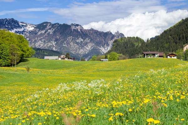 Bild aus der Galerie