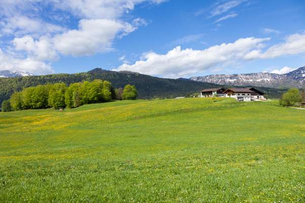 Bild aus der Galerie