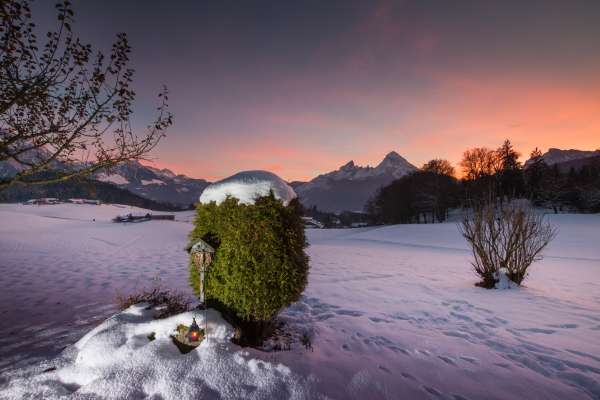 Bild aus der Galerie