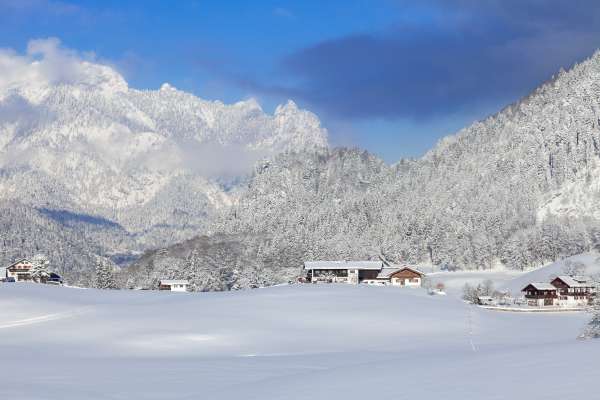 Bild aus der Galerie