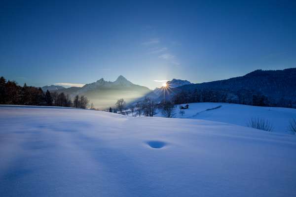 Bild aus der Galerie