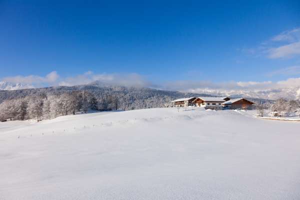 Bild aus der Galerie