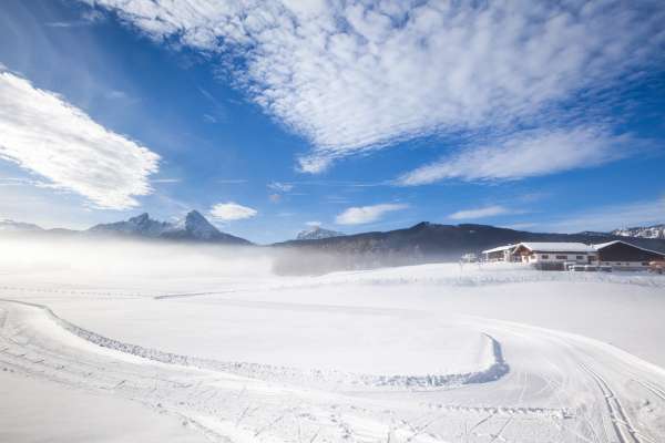 Bild aus der Galerie