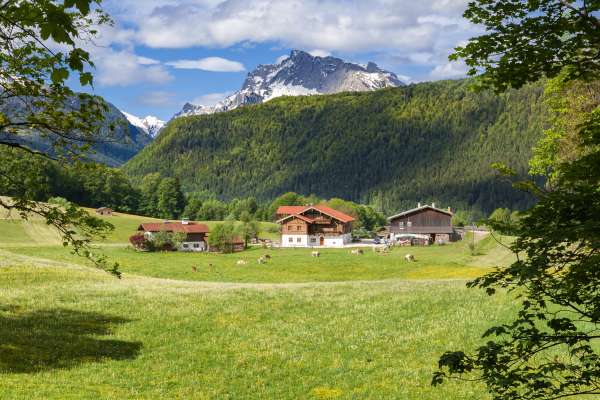 Bild aus der Galerie