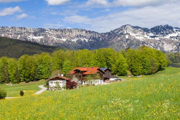 Bild aus der Galerie