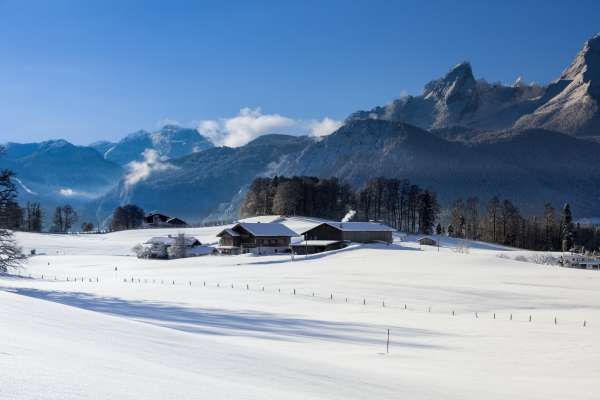 Bild aus der Galerie