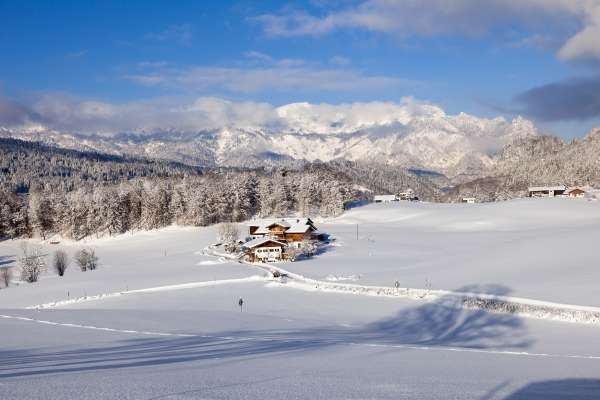 Bild aus der Galerie