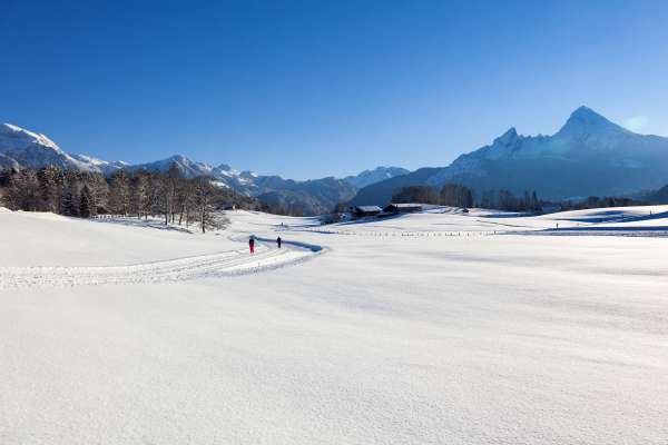 Bild aus der Galerie